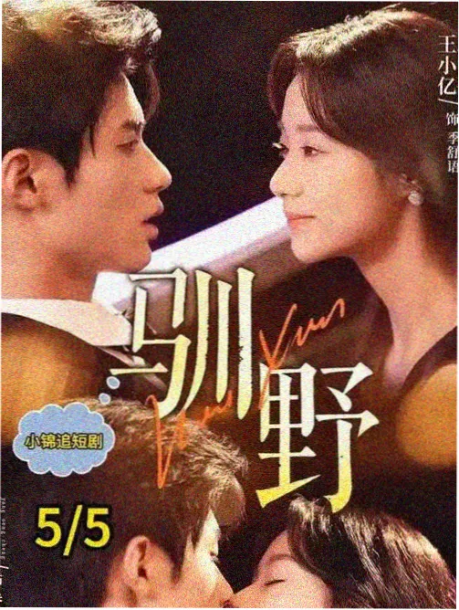 平凡的世界剧集封面